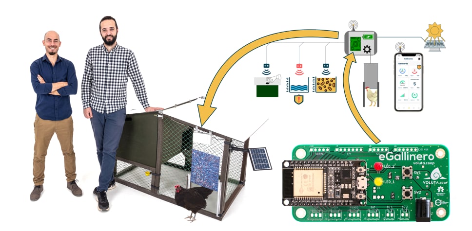 voluta cooperativa valenciana