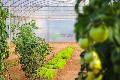 Portento, el biofungicida estrella de Idai Nature obtiene el certificado para su uso en agricultura Biodin�mica