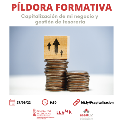 Capitalizaci�n de mi negocio y gesti�n de tesorer�a