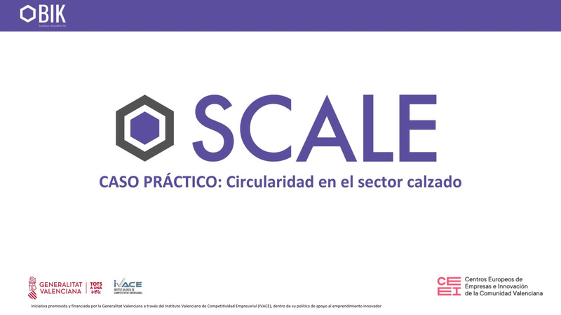 Caso pr�ctico: Circularidad en el sector del calzado