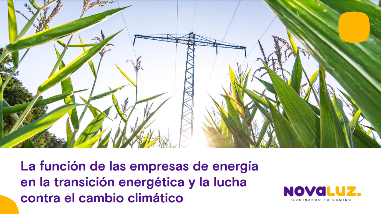 Ebook gratuito "La funci�n de las empresas de energ�a en la transici�n energ�tica y la lucha contra el cambio clim�tico"