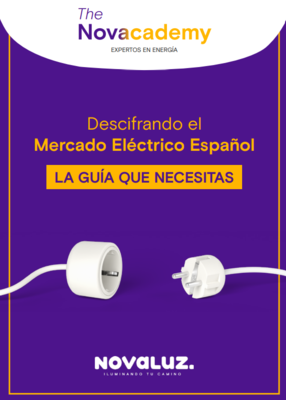 Descifrando el Mercado El�ctrico Espa�ol