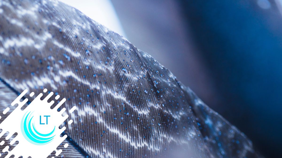 Tejidos inteligentes