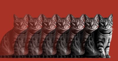 Cooperativas: crecer o morir, he ah� el dilema