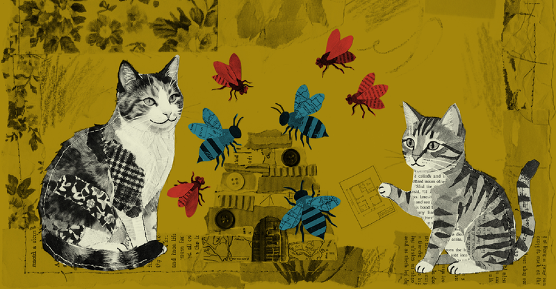 Cooperamos por egoismo o altruismo