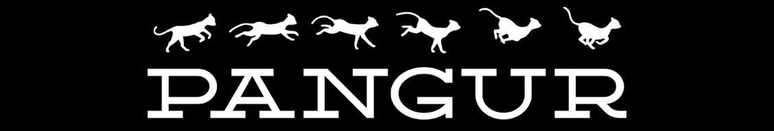 Pangur Animation Studio