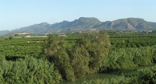 Mancomunitat de la Ribera Alta