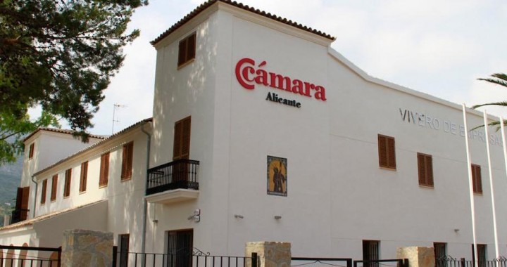 Vivero Delegaci�n Denia. C�mara de Comercio Alicante