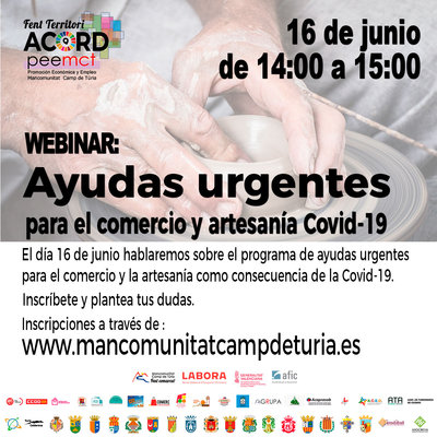 Webinar: Ayudas urgentes para el comercio y artesan�a
