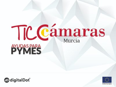 AYUDAS A PYMES TICC�MARAS 2020