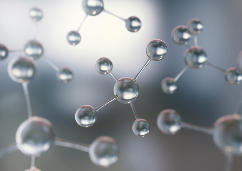 Un estudio de BIOVAL y REDIT pone en el mapa de la Comunitat 88 proyectos tecnol�gicos vinculados con la Bioeconom�a