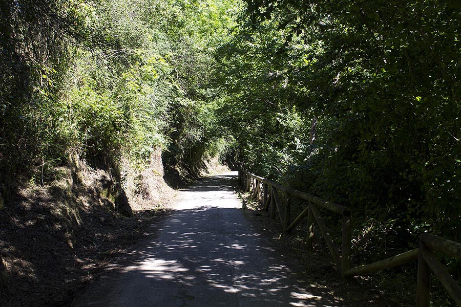 Senda del Oso en Asturias