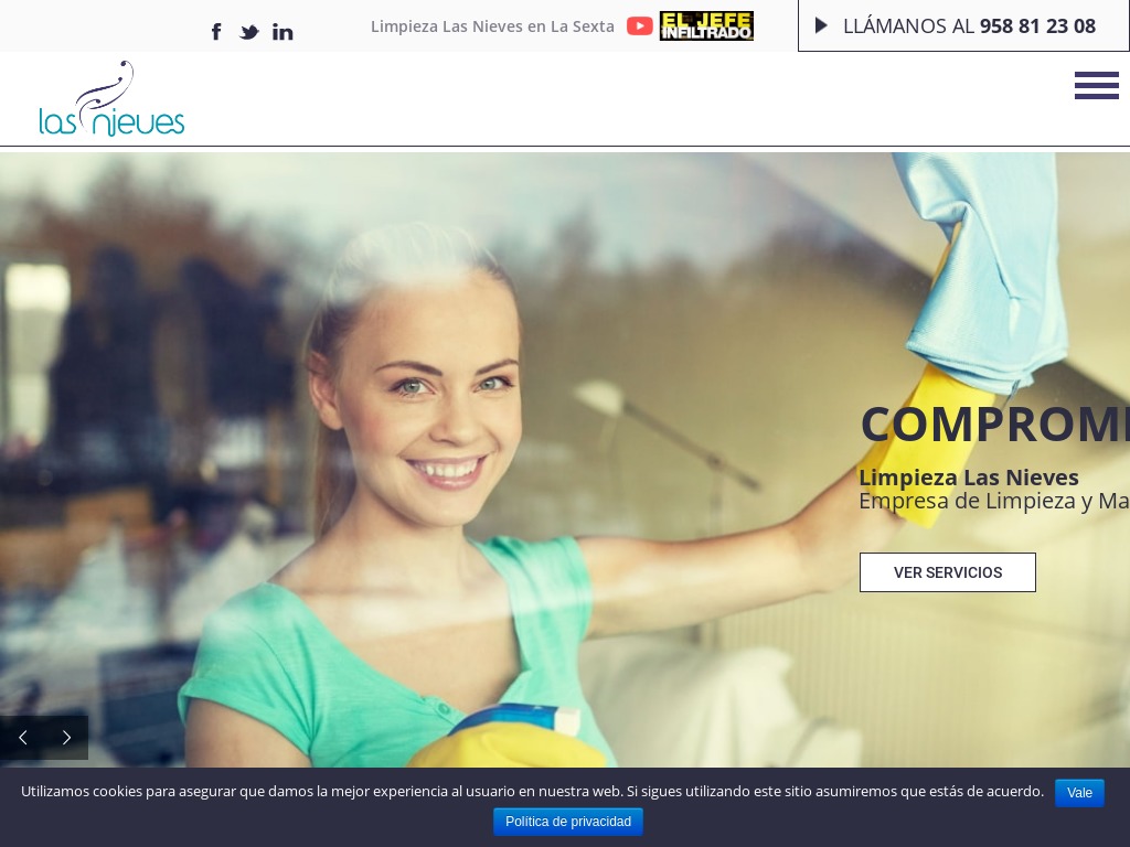 Las Nieves - Empresa de limpieza y mantenimiento integral