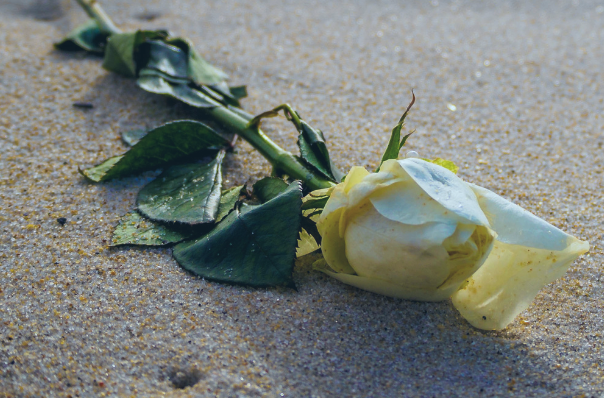 �C�mo esparcir las cenizas de difuntos de forma legal?